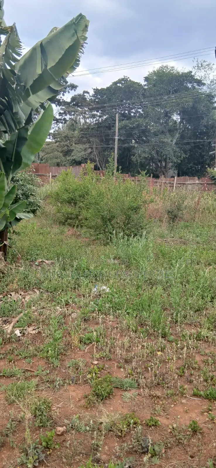 Prime 1/8-Acre Plot for Sale – Kerarapon Drive