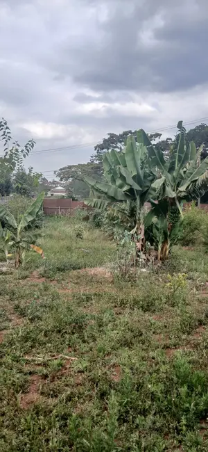 Prime 1/8-Acre Plot for Sale – Kerarapon Drive