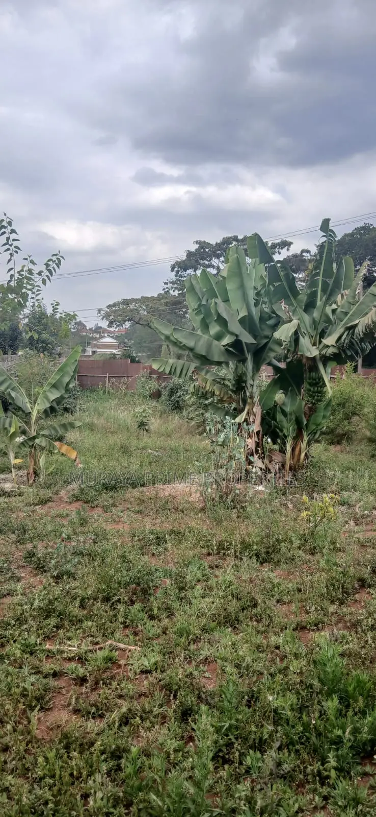 Prime 1/8-Acre Plot for Sale – Kerarapon Drive