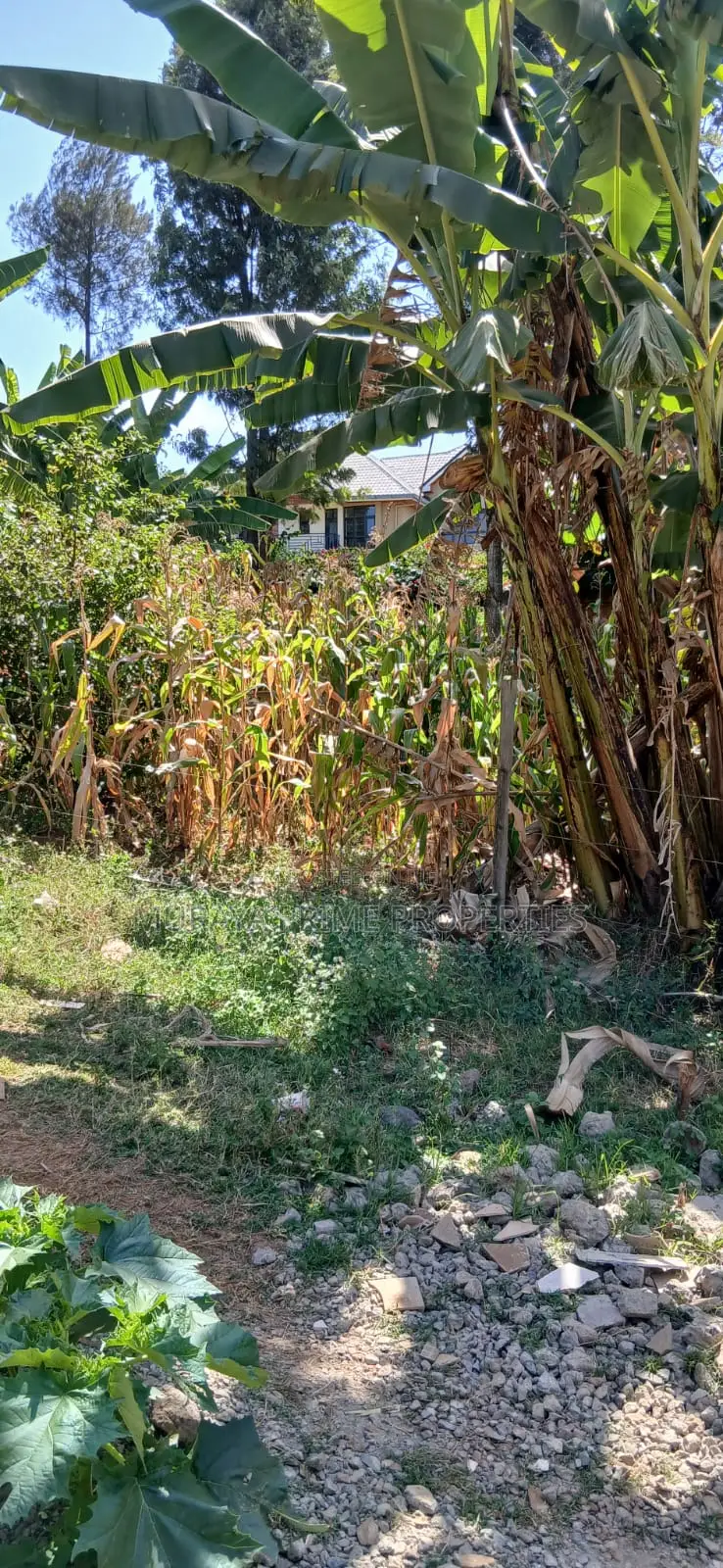 1⁄4 Acre Plot for Sale – Kerarapon Drive