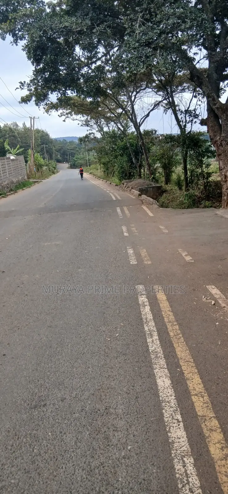 1⁄4 Acre Plot for Sale – Kerarapon Drive