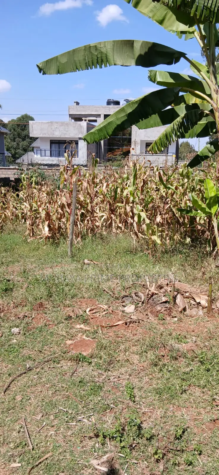 1⁄4 Acre Plot for Sale – Kerarapon Drive