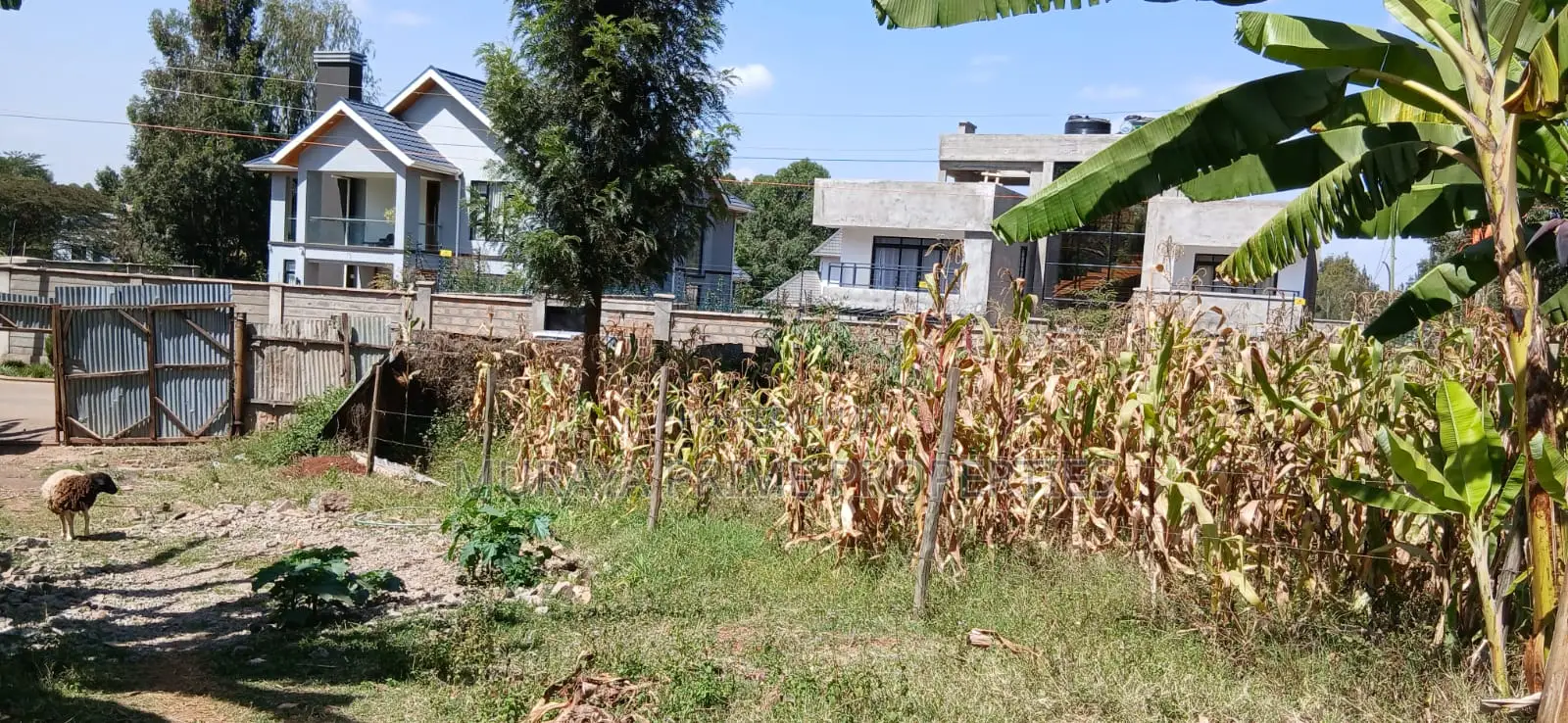 1⁄4 Acre Plot for Sale – Kerarapon Drive