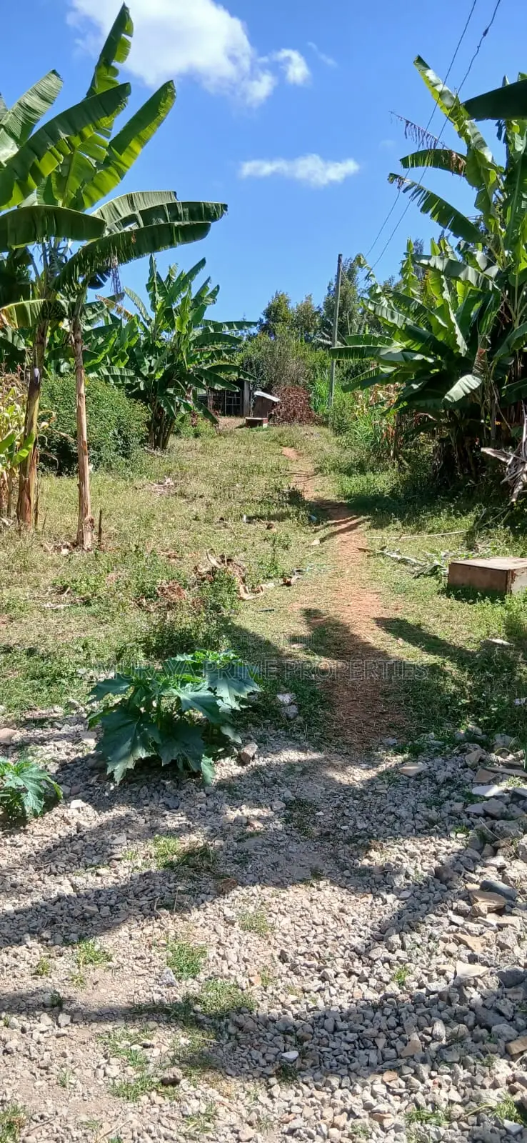 1⁄4 Acre Plot for Sale – Kerarapon Drive