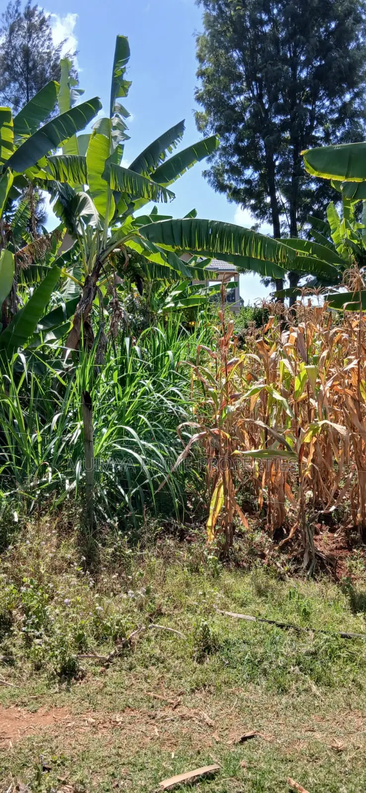 1⁄4 Acre Plot for Sale – Kerarapon Drive
