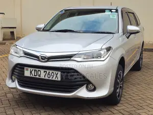 Toyota Corolla Fielder 2017 Silver