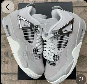 Jordan 4 Frozen Moments