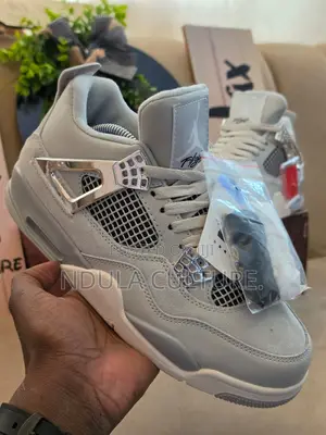 Jordan 4 Frozen Moments