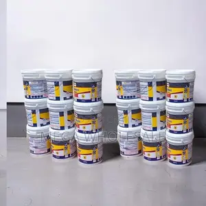 Factory Price 20L30L,40L Ruff N Tuff Wall Master Textured Paints