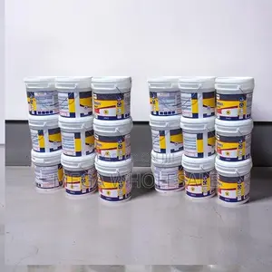 Wholesale Price 20L30L,40L Ruff N Tuff Wall Master Textured Paints