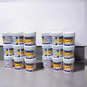 Wholesale Price 20L30L,40L Ruff N Tuff Wall Master Textured Paints