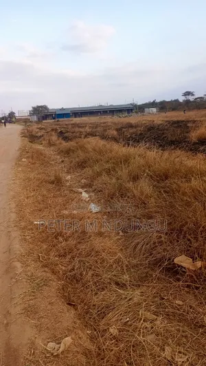 Juja Gachororo- Commercial 50*100 Plots