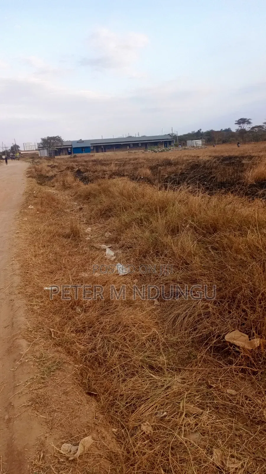Juja Gachororo- Commercial 50*100 Plots