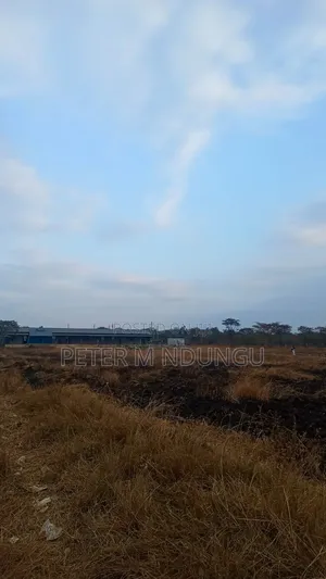 Juja Gachororo- Commercial 50*100 Plots