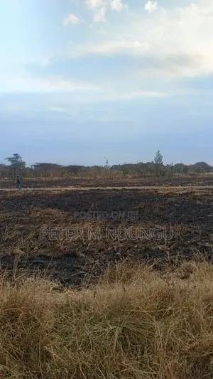 Juja Gachororo- Commercial 50*100 Plots