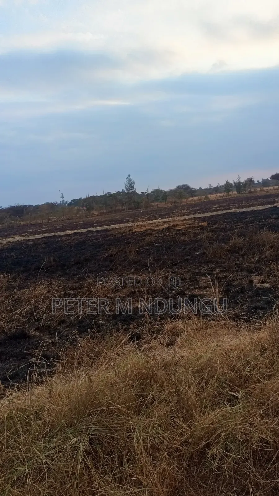 Juja Gachororo- Commercial 50*100 Plots