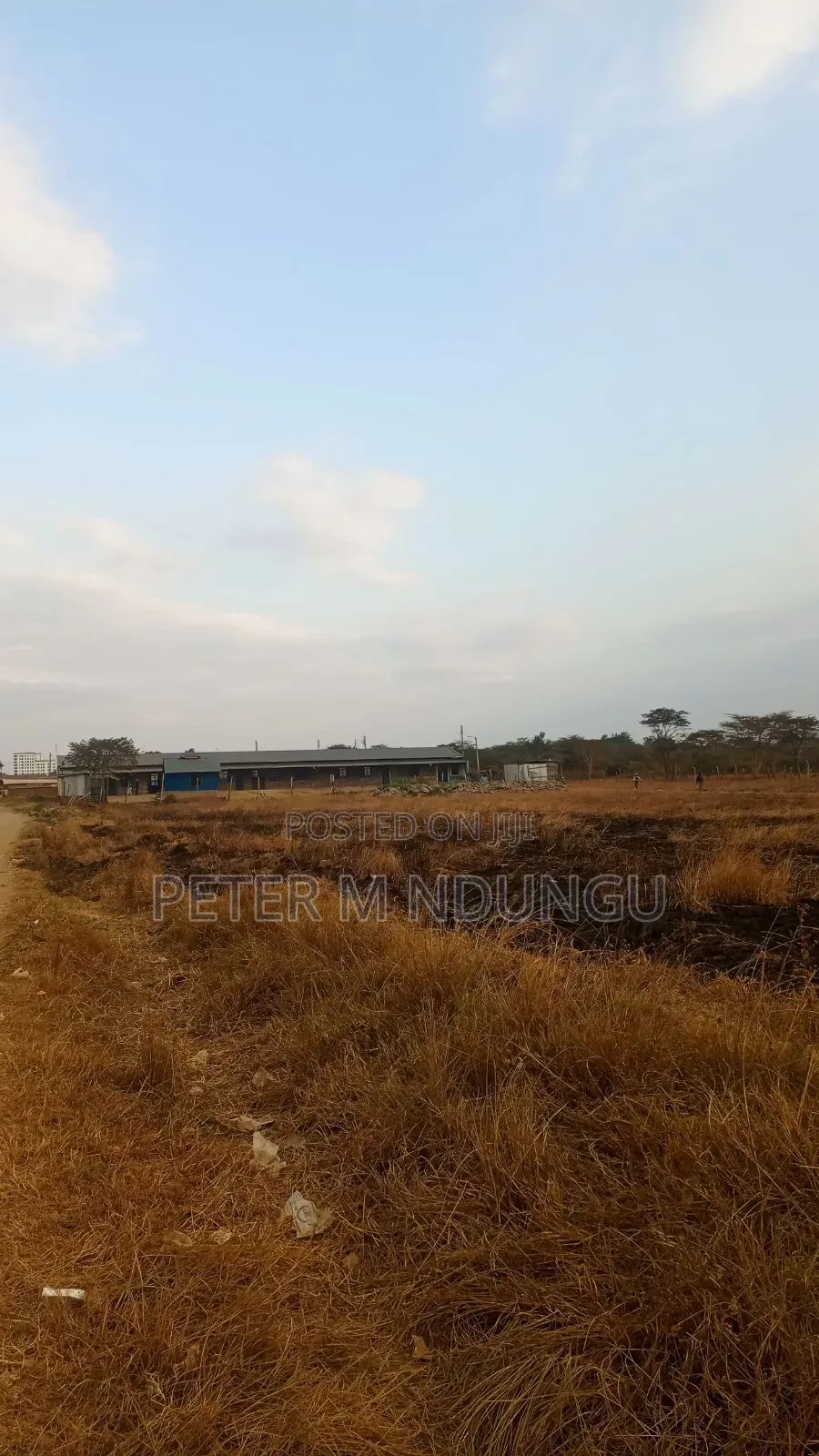 Juja Gachororo- Commercial 50*100 Plots