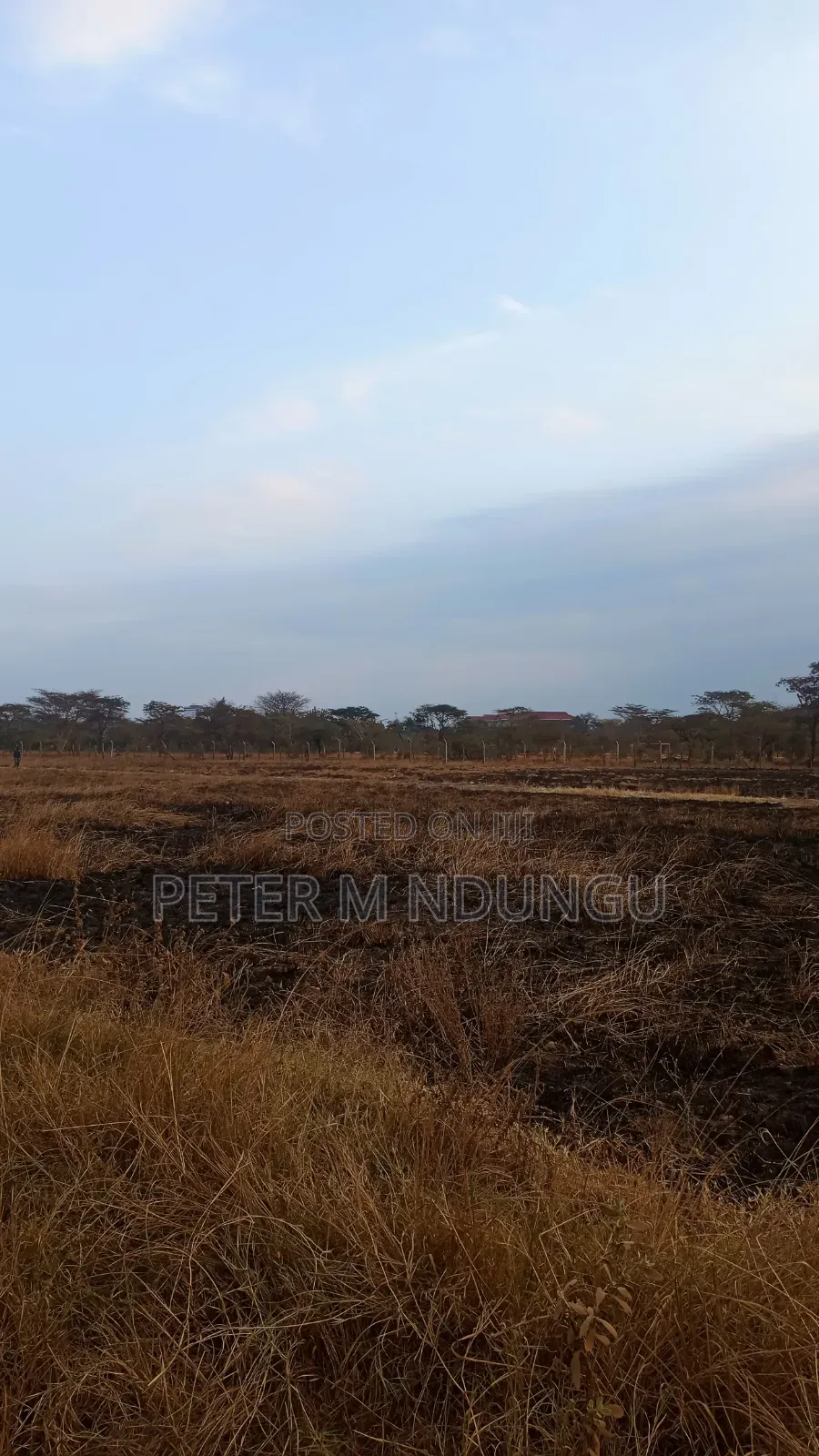 Juja Gachororo- Commercial 50*100 Plots
