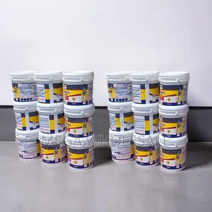 Low Prices 20L30L,40L Ruff N Tuff Wall Master Textured Paints