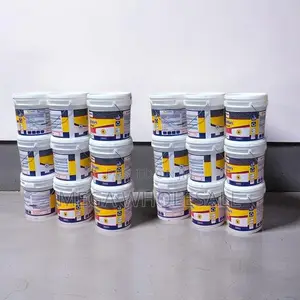 Clearance 20L30L,40L Ruff N Tuff Wall Master Textured Paints