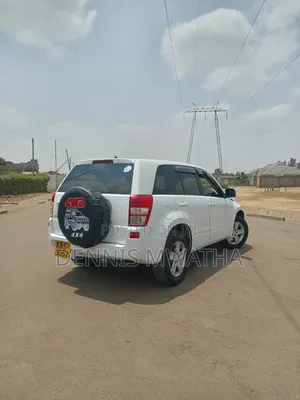 Suzuki Escudo 2007 White