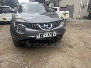 Nissan Juke 2011 Silver