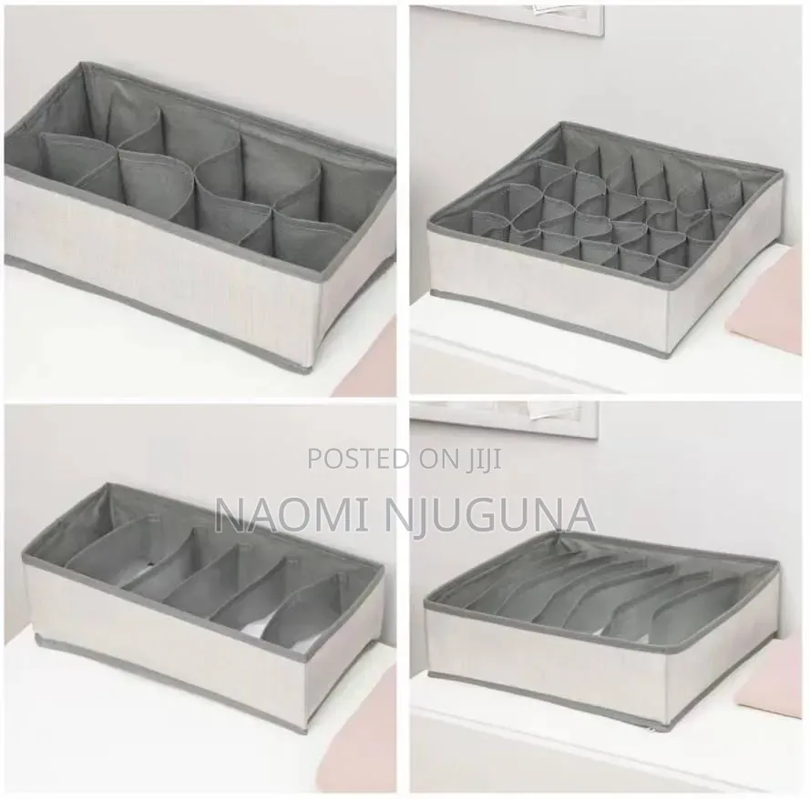 4-in-1 Undergarments Organizer