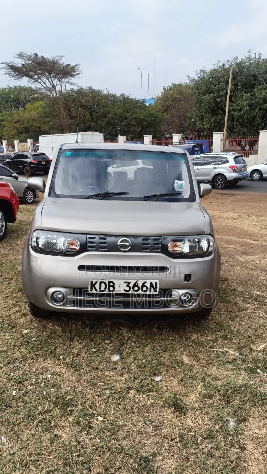 Nissan Cube 2014 Gold