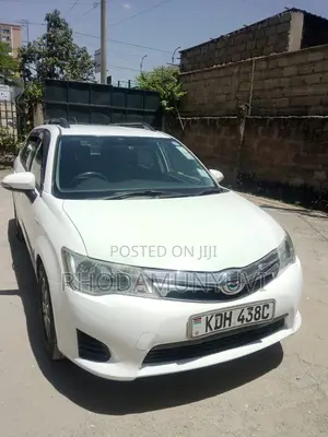 Toyota Corolla Fielder 2015 White