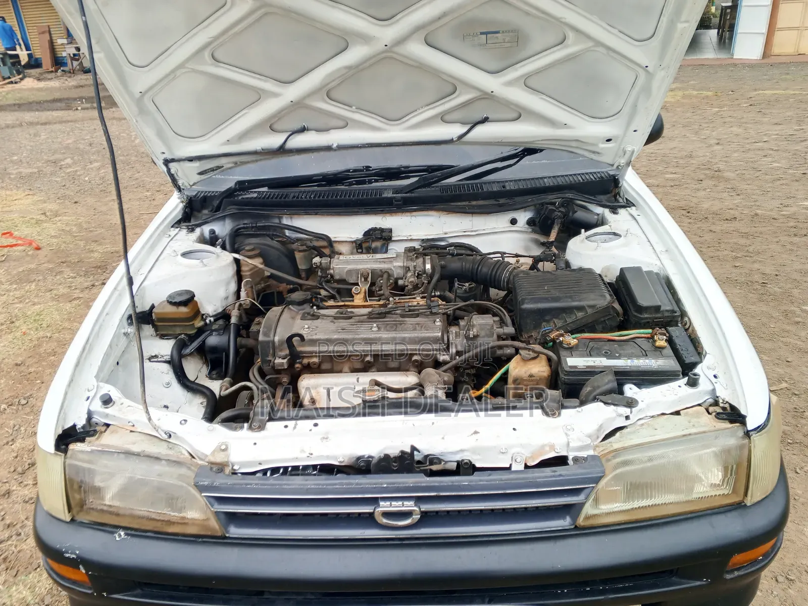 Toyota Corolla 1998 White
