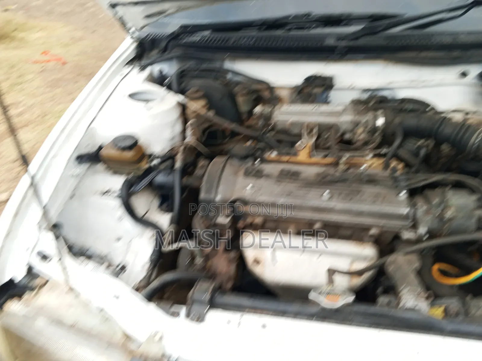 Toyota Corolla 1998 White