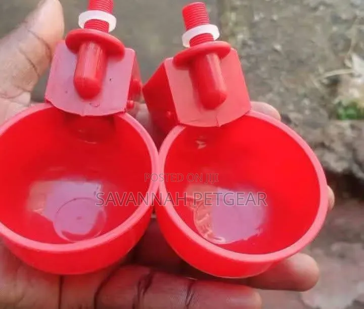 Red Plastic Automatic Poultry Drinking Cups Fitted Onto a Bucket