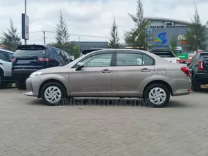 Toyota Axio 2019 Gold