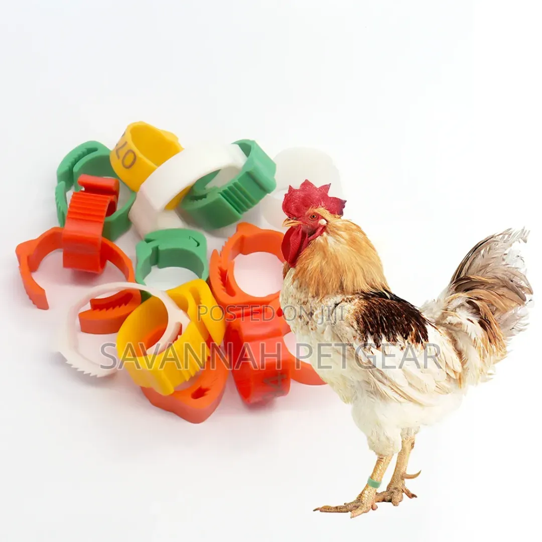 100pcs Poultry Identification Rings With Adjustable Clip for Chicken