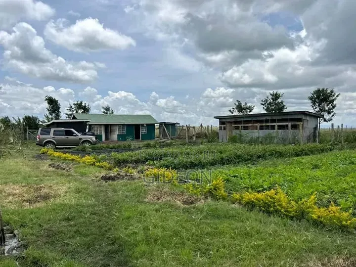 10-Acre Farm With Borehole Kisaju Off Kiserian - Isinya Road.
