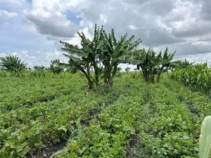 10-Acre Farm With Borehole Kisaju Off Kiserian - Isinya Road.