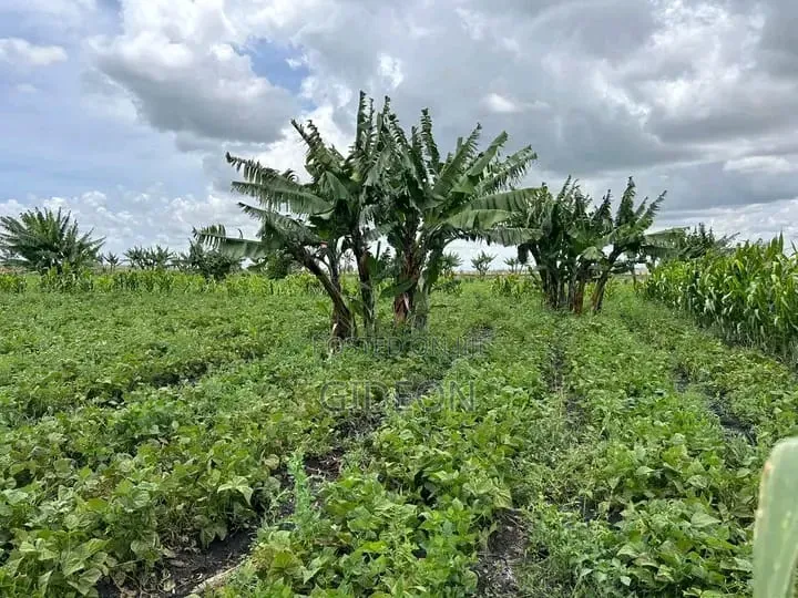 10-Acre Farm With Borehole Kisaju Off Kiserian - Isinya Road.