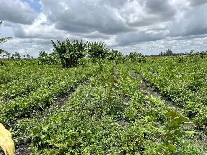 10-Acre Farm With Borehole Kisaju Off Kiserian - Isinya Road.
