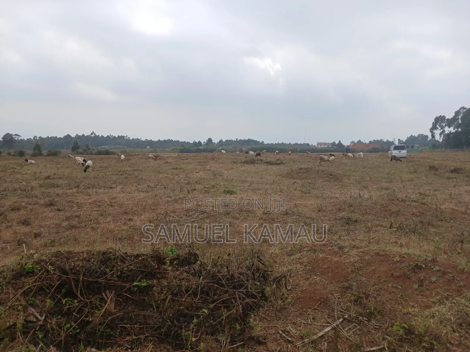 Kikuyu, Thigio 50 by 100 Feet Plots,redsoil, KSHS 1.4m
