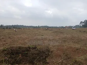 Kikuyu, Thigio 50 by 100 Feet Plots,redsoil, KSHS 1.4m