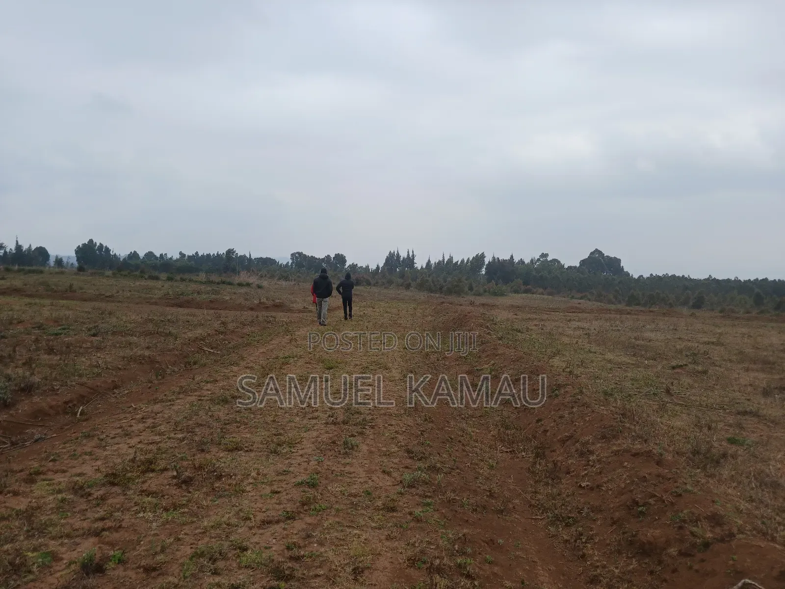 Kikuyu, Thigio 50 by 100 Feet Plots,redsoil, KSHS 1.4m