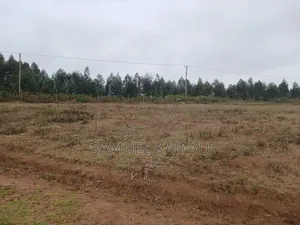 Kikuyu, Thigio 50 by 100 Feet Plots,redsoil, KSHS 1.4m