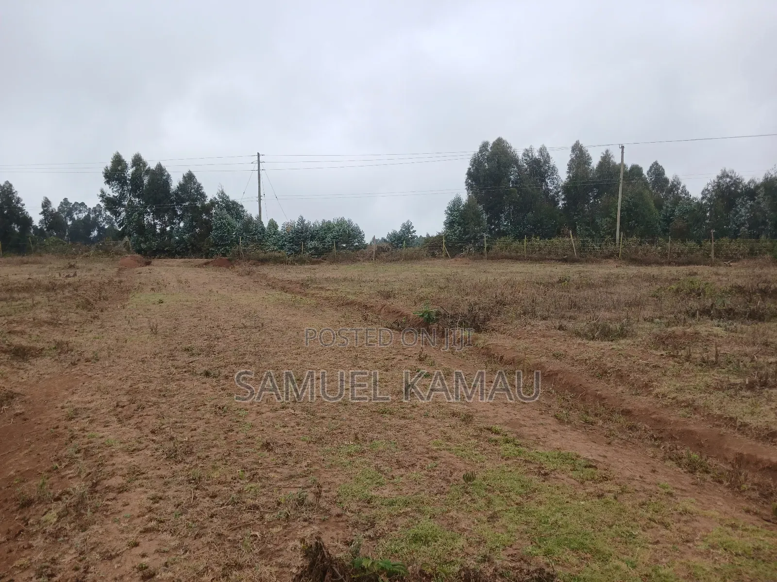 Kikuyu, Thigio 50 by 100 Feet Plots,redsoil, KSHS 1.4m