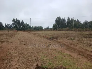 Kikuyu, Thigio 50 by 100 Feet Plots,redsoil, KSHS 1.4m