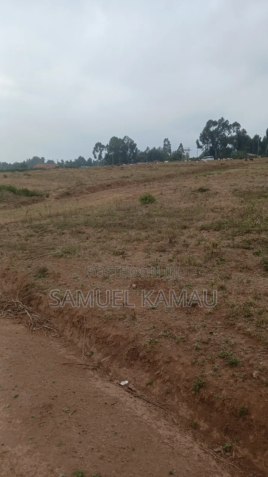 Kikuyu, Thigio 50 by 100 Feet Plots,redsoil, KSHS 1.4m