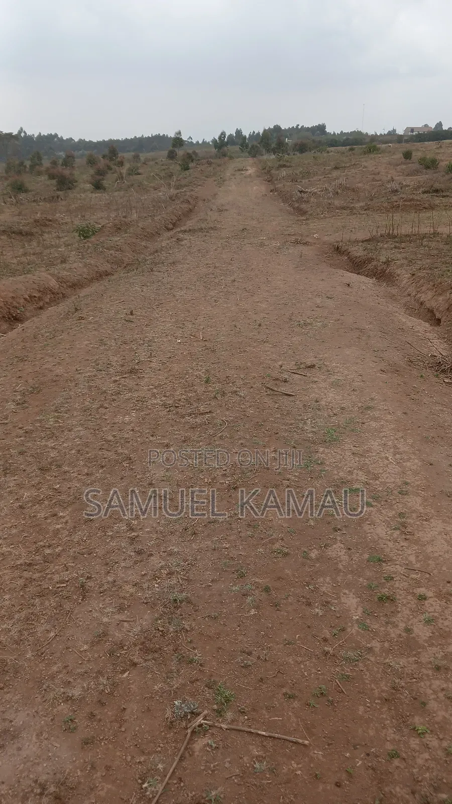 Kikuyu, Thigio 50 by 100 Feet Plots,redsoil, KSHS 1.4m