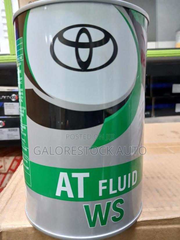 Ws 1 Litre at Fluid (Green)