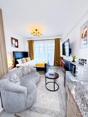 Fully Furnished Studio in Ngara