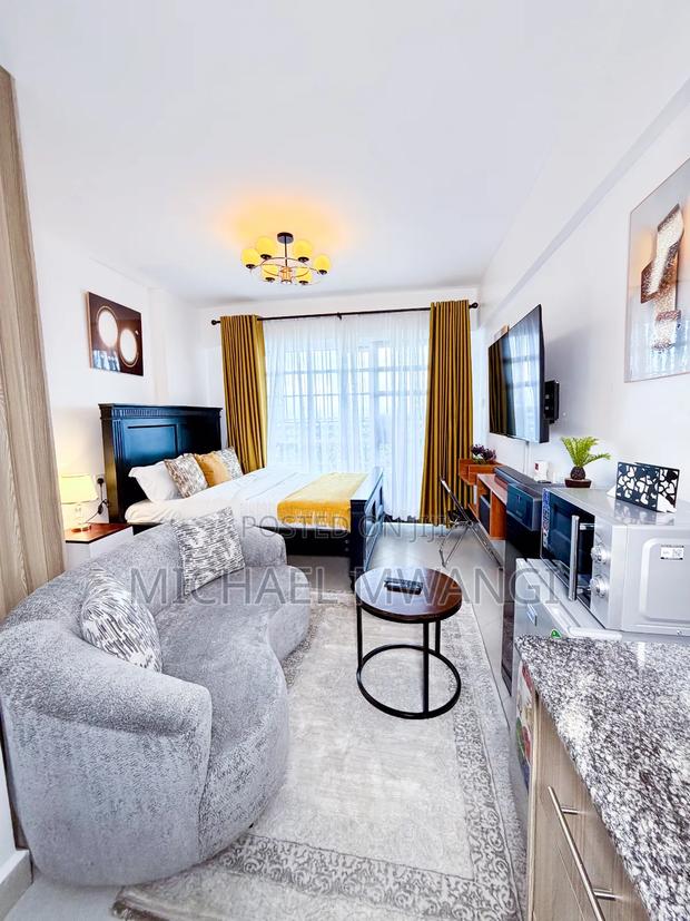 Fully Furnished Studio in Ngara