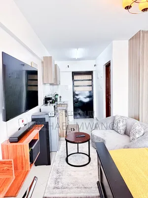 Fully Furnished Studio in Ngara